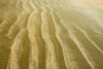 Patterns of sand by the sea.7