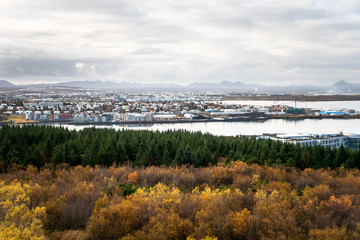 View of a Neighbourhood of Reykjavik, Iceland, with a Wooded Park in Foreground and Mountain in Background on an Overcast Autumn Morning