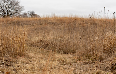 Field in the winter with birdhouse in background