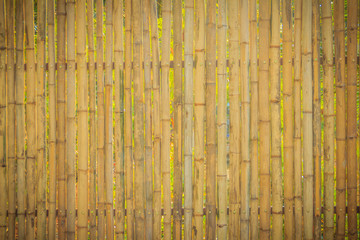 Abstract yellow dried bamboo boundary wall fence texture, bamboo wall background.