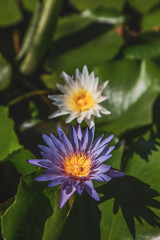 Marble Mountains in Da Nang