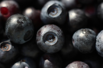 blueberry macro