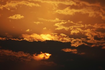 An evening soaked in sunny cocktail