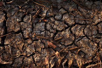 dry cracked soil closeup
