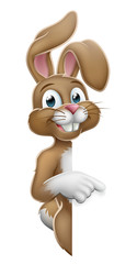 Obraz premium The Easter bunny rabbit cartoon character peeking around a sign and pointing at it