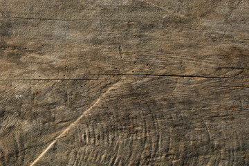 wood texture background closeup