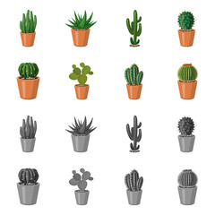 Vector design of cactus and pot sign. Set of cactus and cacti stock symbol for web.