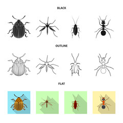 Vector illustration of insect and fly sign. Collection of insect and element vector icon for stock.