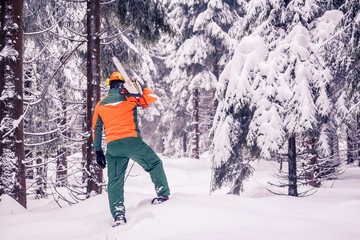lumberjack © Val Thoermer