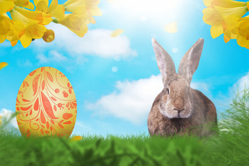 Osterhase auf einer grünen Wiese. Natur.