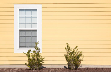One solitary window on the exterior of a house with bright yellow siding. - obrazy, fototapety, plakaty