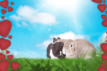 Die Liebe am Valentinstag