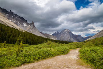 A hiking trail in the Highwood Pass of Kananaskis Country, Alberta, Canada