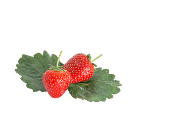 Two strawberries placed on the leaves