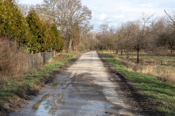 Fototapeta na wymiar dirt road crossing a farm in Frankenthal - Germany