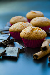 Vanilla muffin with pieces of black chocolate on a dark background. Side view.