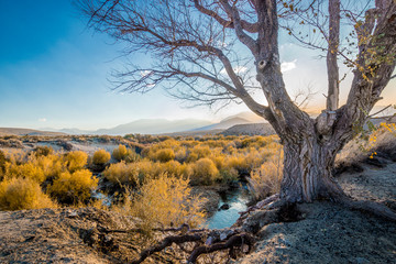 Eastern Sierra Valley Near Mono Lake, California