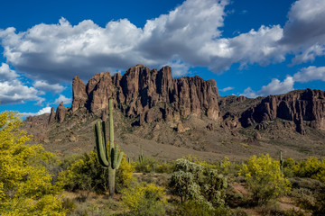 Superstition Mountains near Apache Junction Arizona. Cactus and desert foliage in foreground. Cumulus clouds above rock formations. Lost Dutchman State Park.