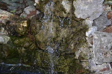 Obraz premium A water fountain in the garden