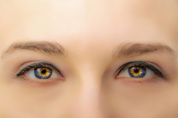 Naklejka premium Female eyes with long eyelashes and professional make-up close-up macro