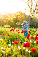 girl child sniffs a flower in a field with green grass and blooming tulips at sunset