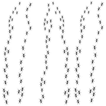 black ants marching on white background clip art preview