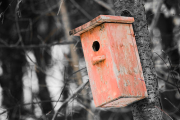 birdhouse on tree