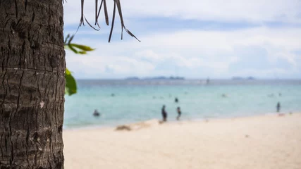 Photo sur Plexiglas Plage blanche de Boracay Coconut tree wite white beach and blue sky.