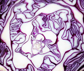 delicious and edible background