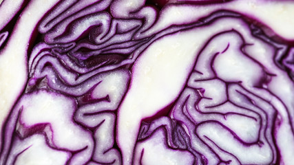 Obraz premium delicious and edible background
