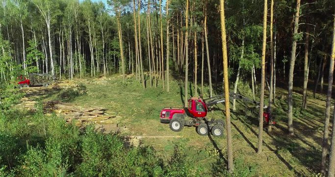 The forestry industry. Pine Forest Harvesting Machine. Logging Equipment. The harvester lumberjack working in a forest. Forest Wheeled Harvesters. A cut-to-length (CTL) forest harvester. 