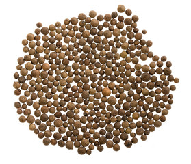 Allspice background on white