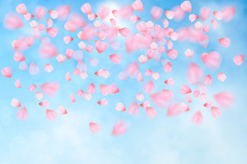 Pink cherry blossom with falling leaves. Isolated on white background. Spring composition with sakura. Vector illustration