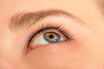 Female eye with long eyelashes and professional make-up close-up macro