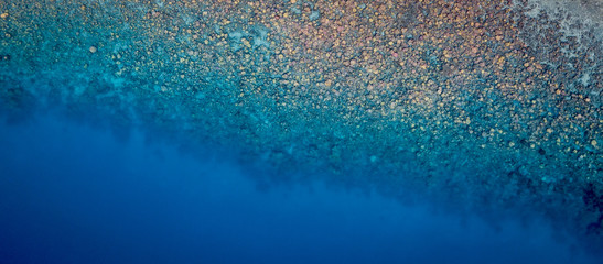 Above the reef
