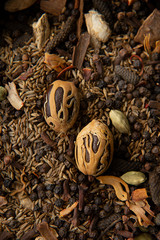 Nutmeg with the mace 