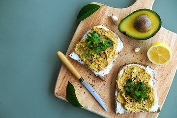 Vegan sandwich, rye bread guacamole toast with lactose free cheese spread. Nutrient dense avocado...