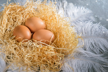 Fresh chicken eggs on decorative nest