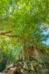 ベンメリア遺跡