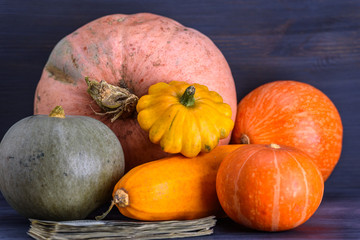 pumpkin, zucchini, patisson on a dark background.