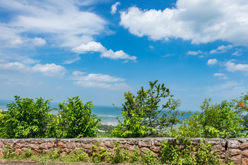 Fototapeta na wymiar Close view of greenery shrub with sea beach & blue sky scenery from a top of a mountain road.
