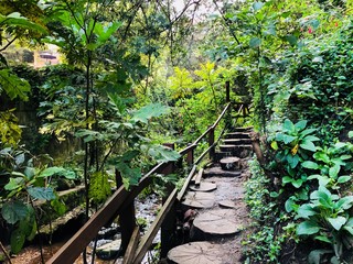 camino