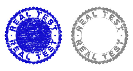Grunge REAL TEST stamp seals isolated on a white background. Rosette seals with grunge texture in blue and gray colors. Vector rubber stamp imitation of REAL TEST caption inside round rosette.