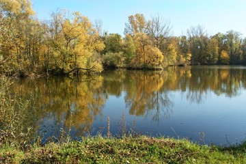 Autumn colors at the lake.  East Moravia. Czech Republic. Europe.