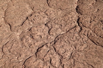 Brown color stone natural surface texture background