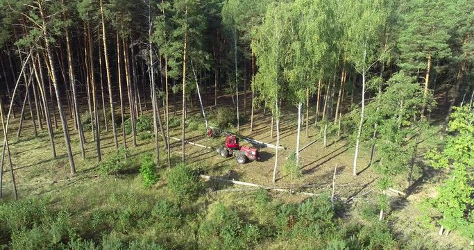 The forestry industry. Pine Forest Harvesting Machine. Logging Equipment. The harvester lumberjack working in a forest. Forest Wheeled Harvesters. A cut-to-length (CTL) forest harvester. 
