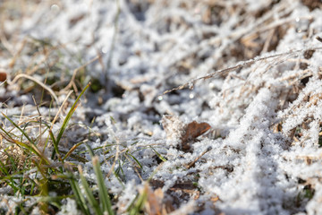 From Winter to Spring