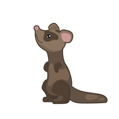 Cute ferret vector illustration on white background. Woodland animal icon. Sneaky ferret clipart. Baby animal logo