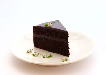 piece of chocolate cake