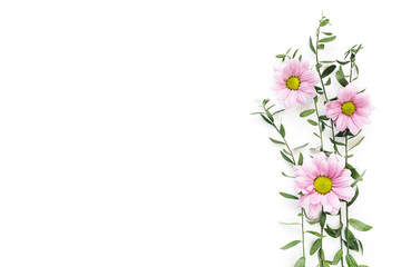 Obraz na płótnie Canvas Arrangement With Pink Flowers On White Background
